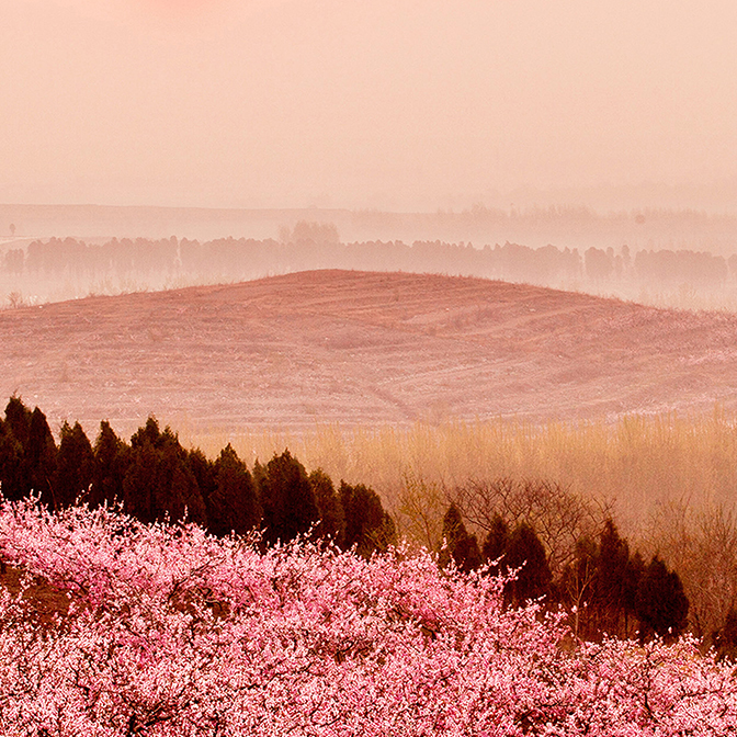 人生就是搏莊園