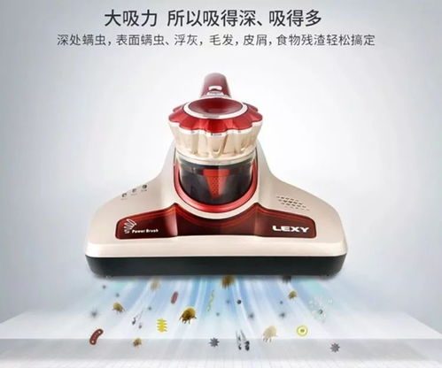 精品家電與汽車配件 品質生活的雙重驅動